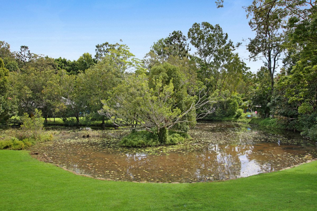 55a Coorabin Court Tallebudgera 32