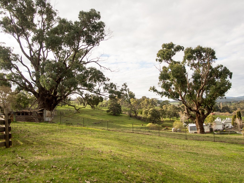 56 Albury Street TUMBARUMBA 3