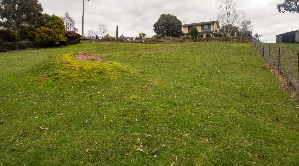 56 Albury Street TUMBARUMBA 4
