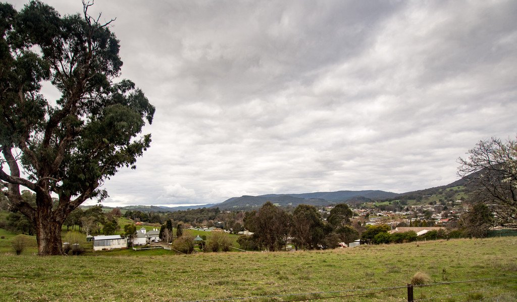 56 Albury Street TUMBARUMBA 6