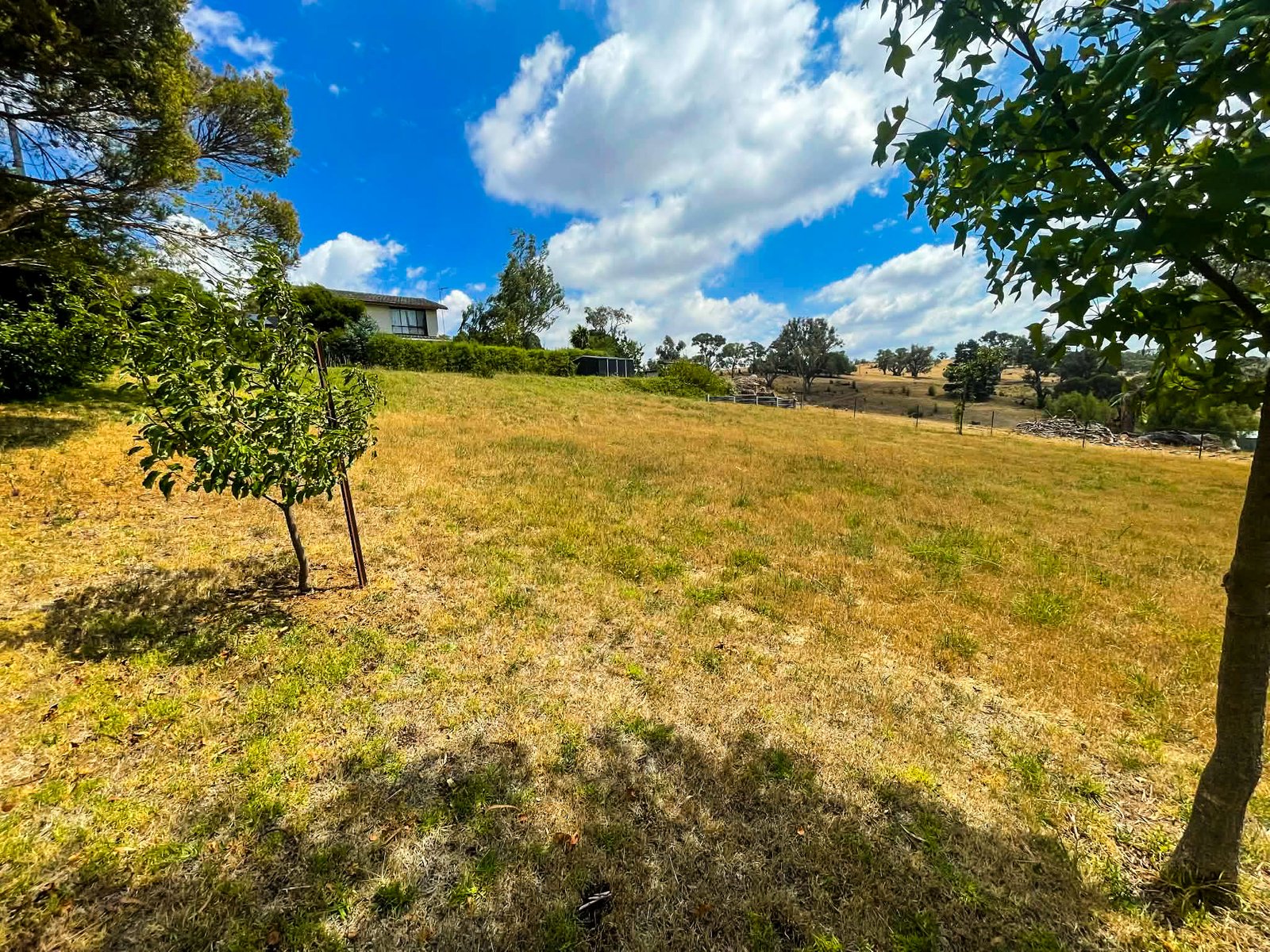 56 Albury Street TUMBARUMBA 4