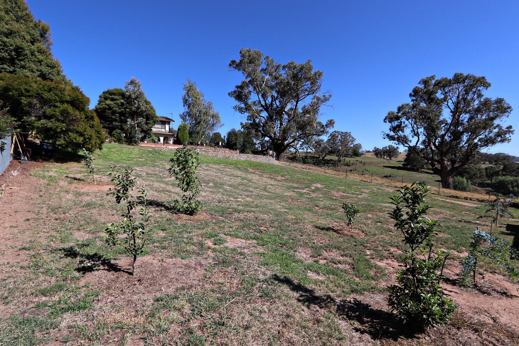 56 Albury Street TUMBARUMBA 4