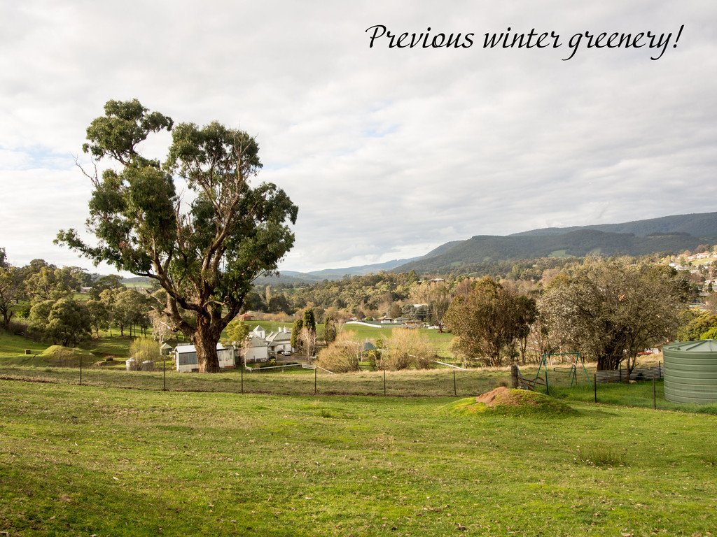 56 Albury Street TUMBARUMBA 5