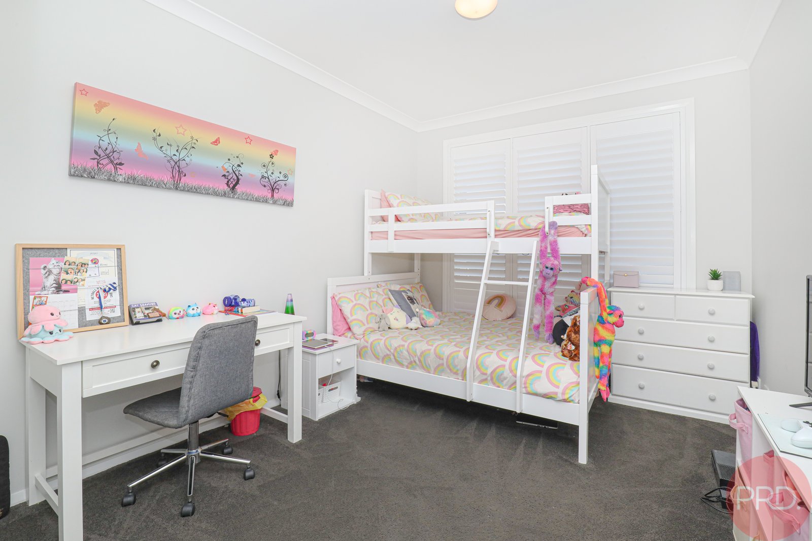 56 Arrowtail Street CHISHOLM 16