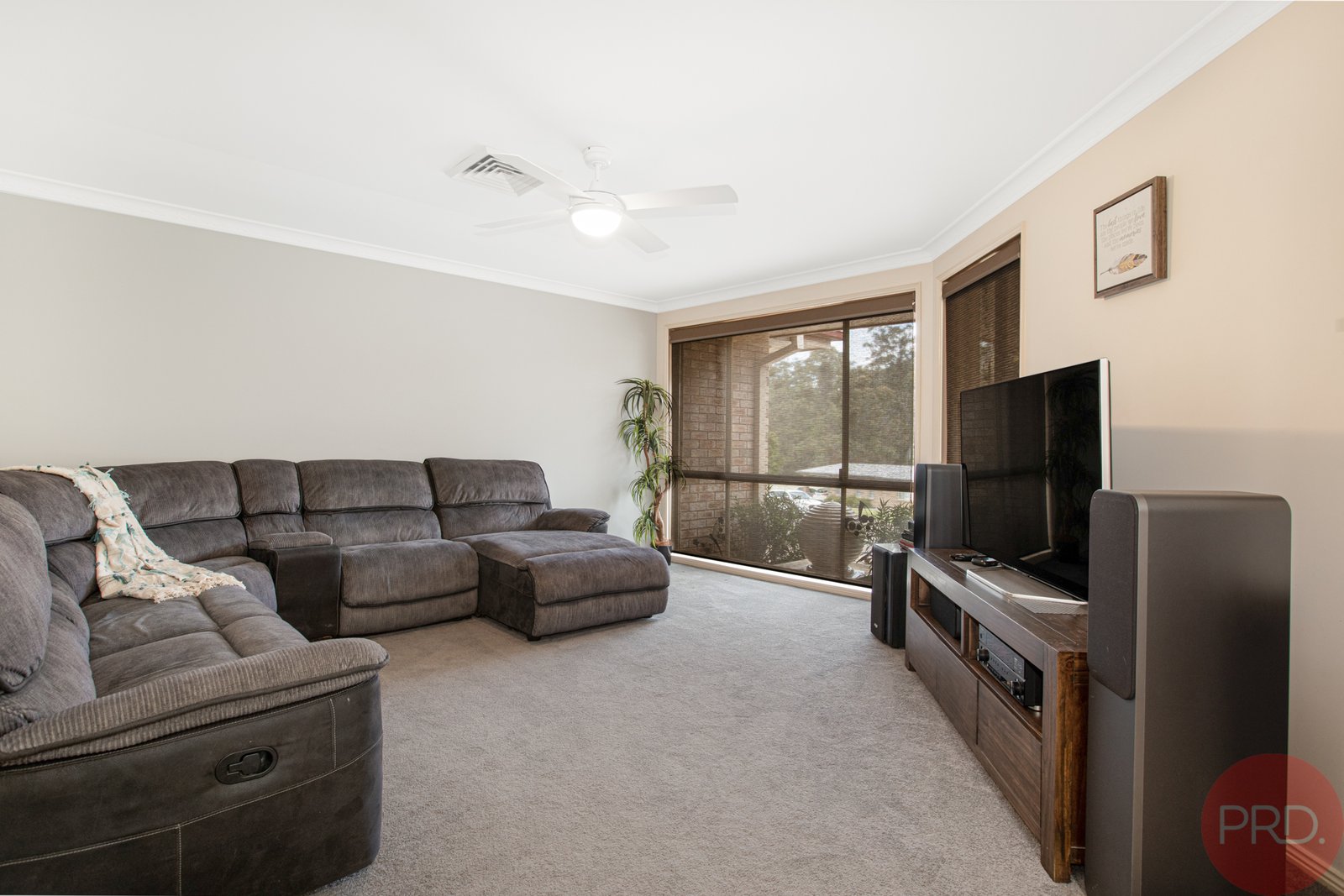 56 Ballydoyle Drive ASHTONFIELD 3