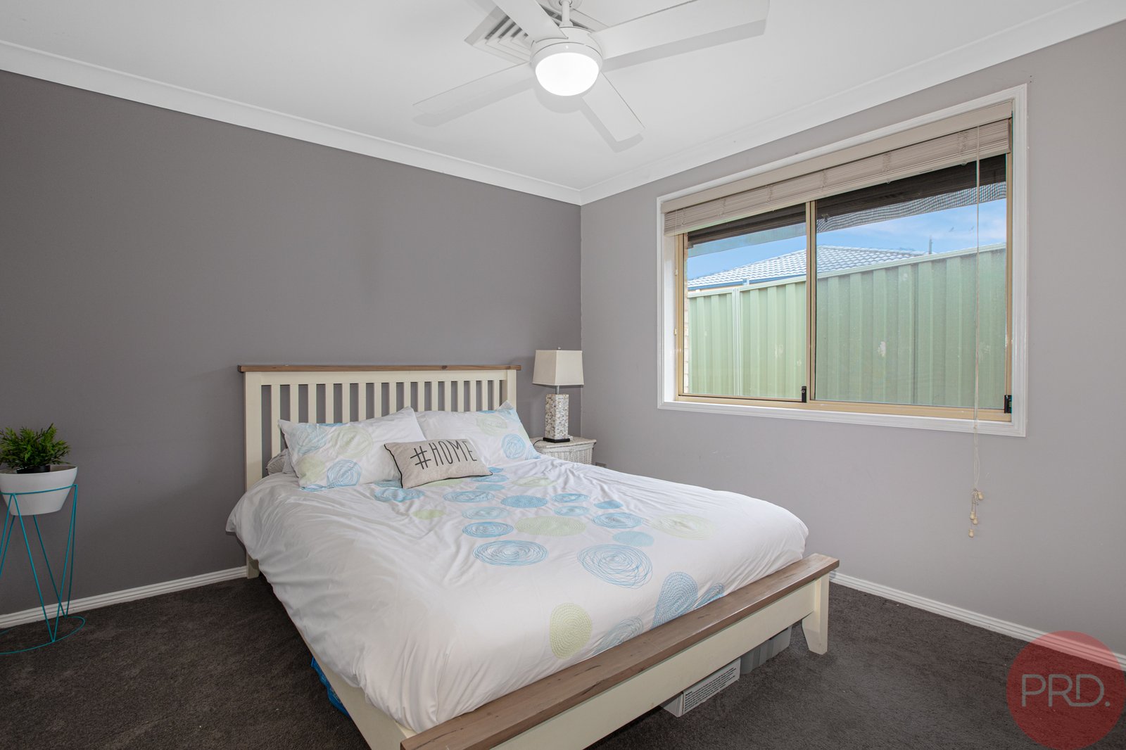 56 Ballydoyle Drive ASHTONFIELD 11
