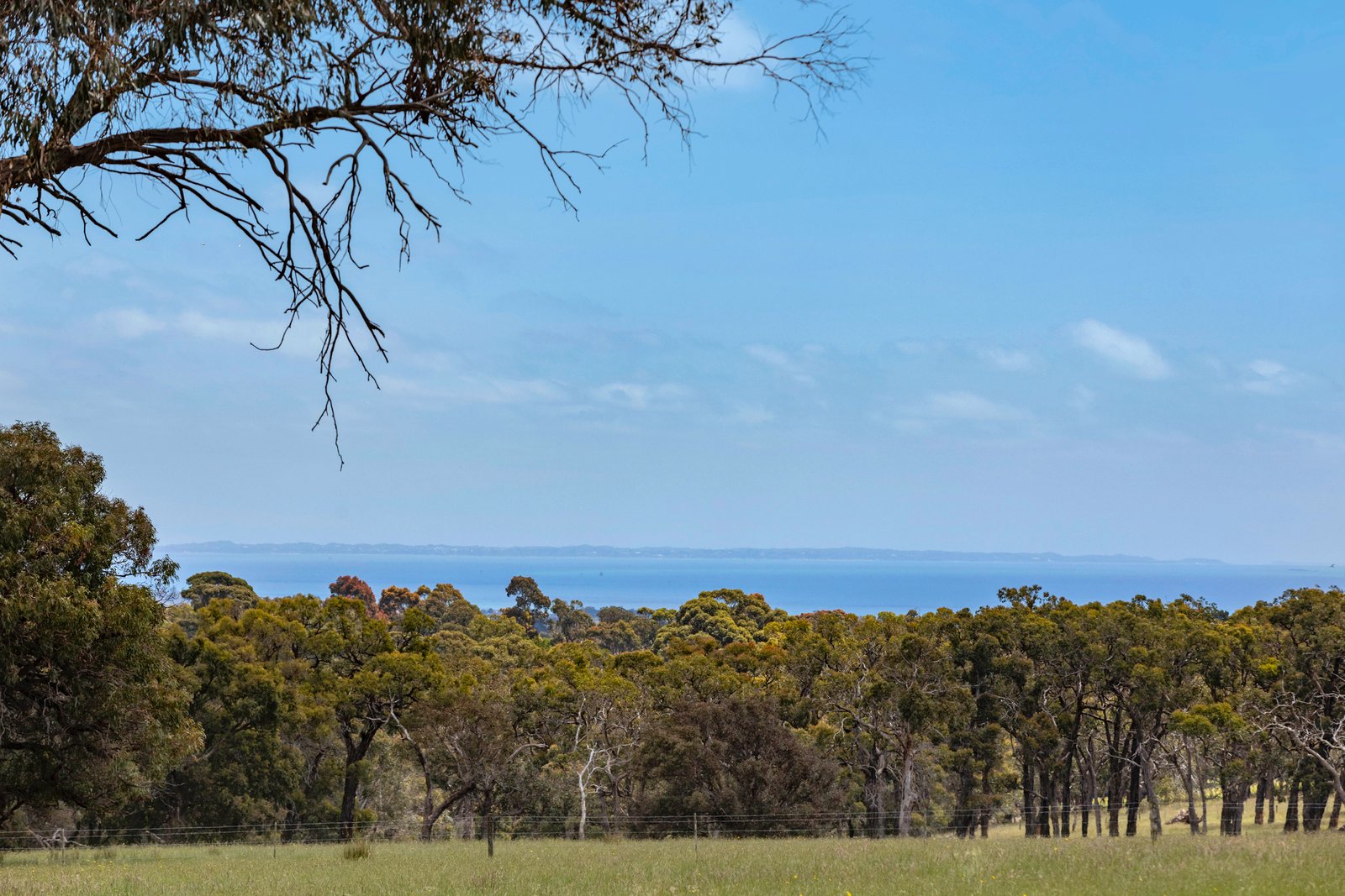 56 Bulldog Creek Road, Dromana, 3936