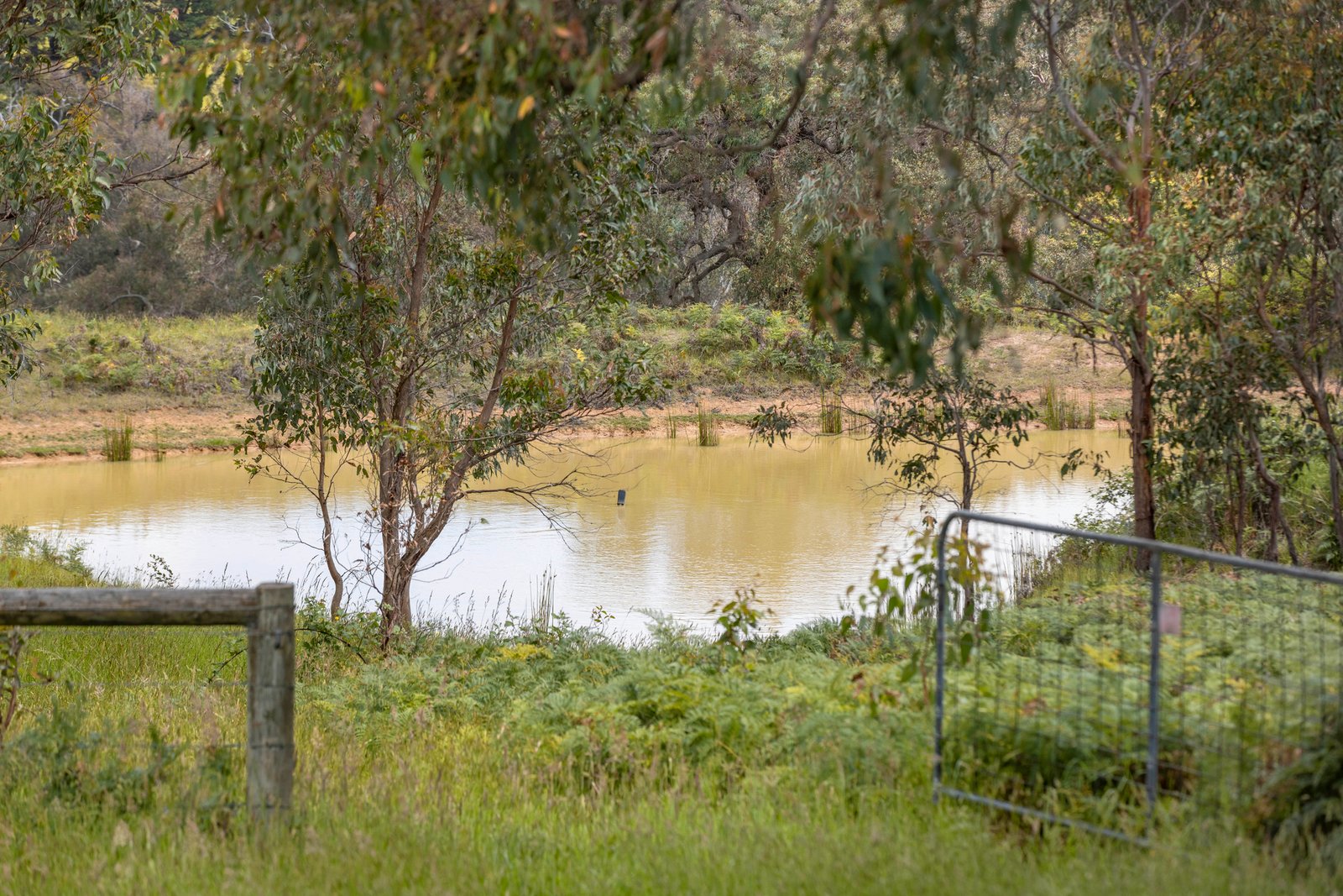 56 Bulldog Creek Road, Dromana, 3936