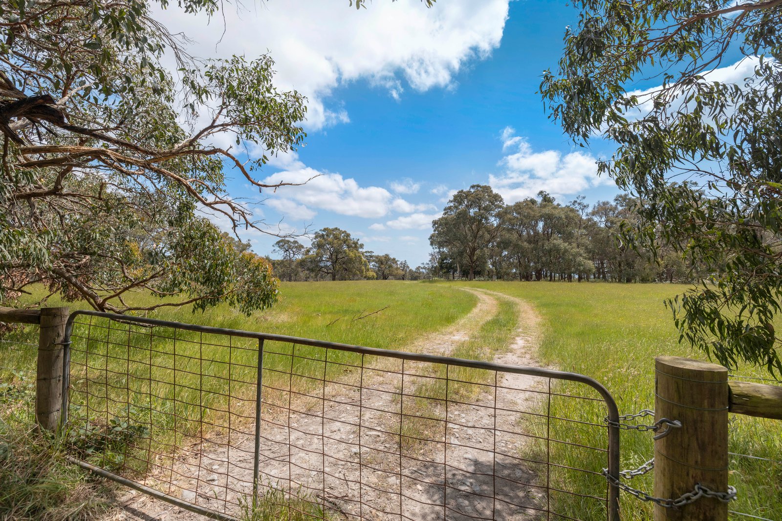 56 Bulldog Creek Road, Dromana, 3936