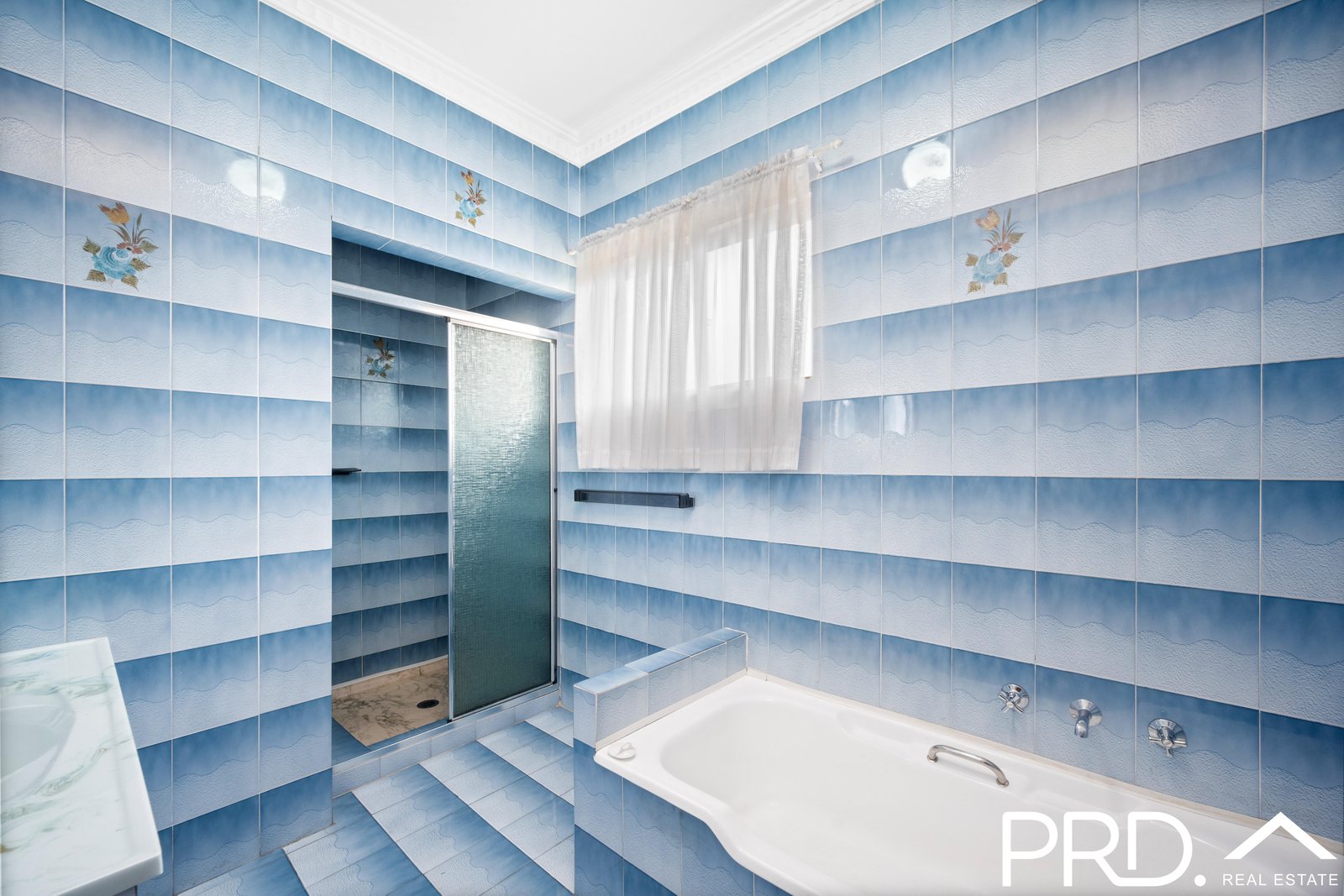 56 Cairds Avenue BANKSTOWN 6