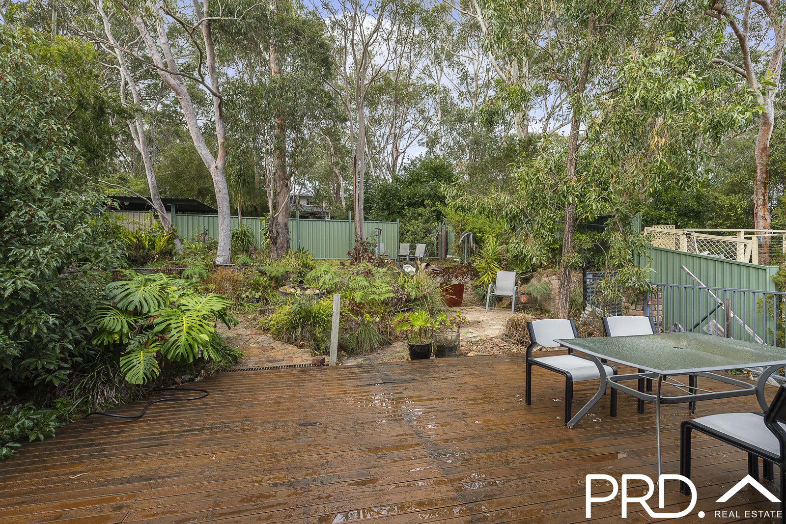56 Carinya Road PICNIC POINT 6