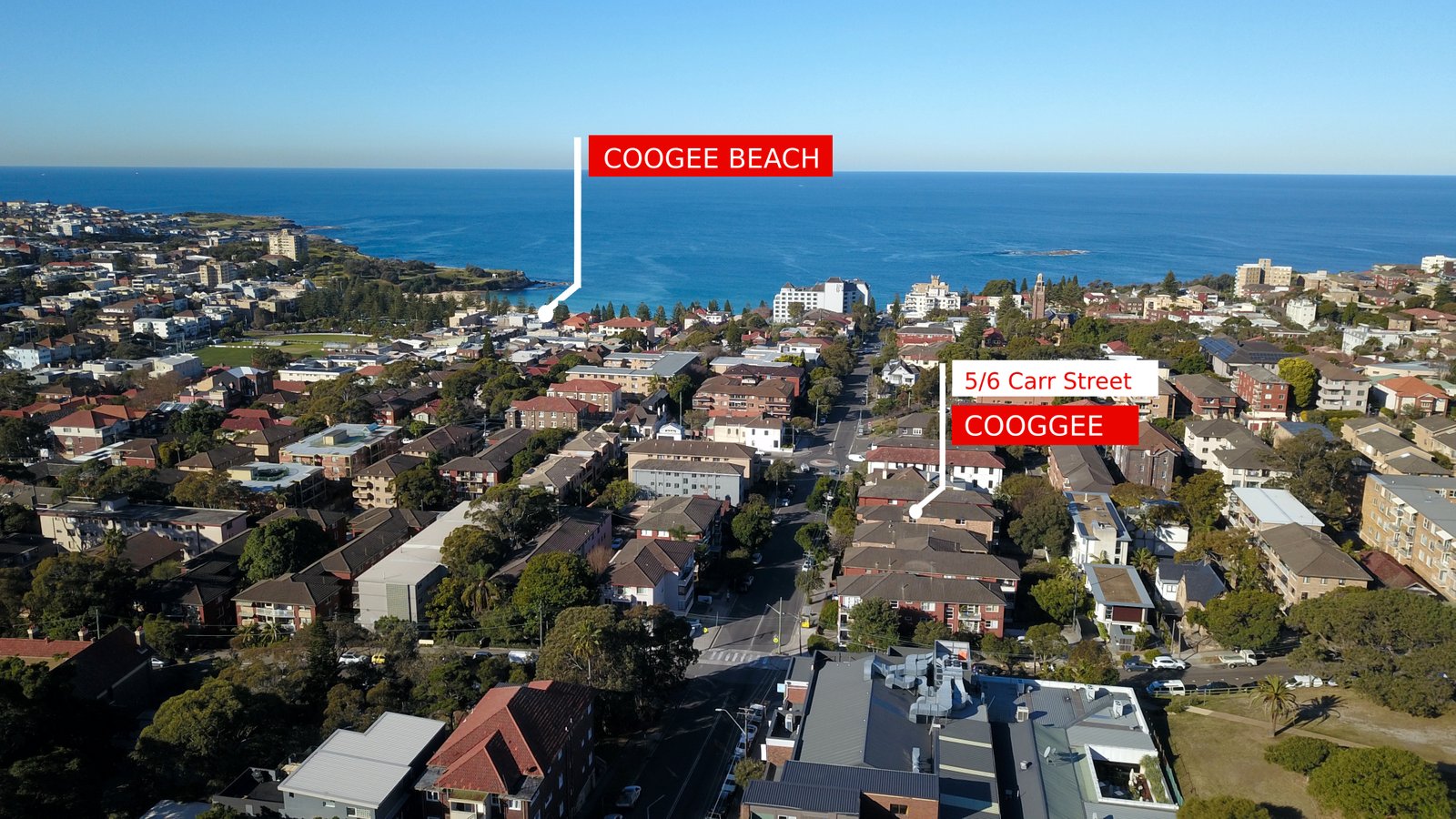 5/6 Carr Street COOGEE 6