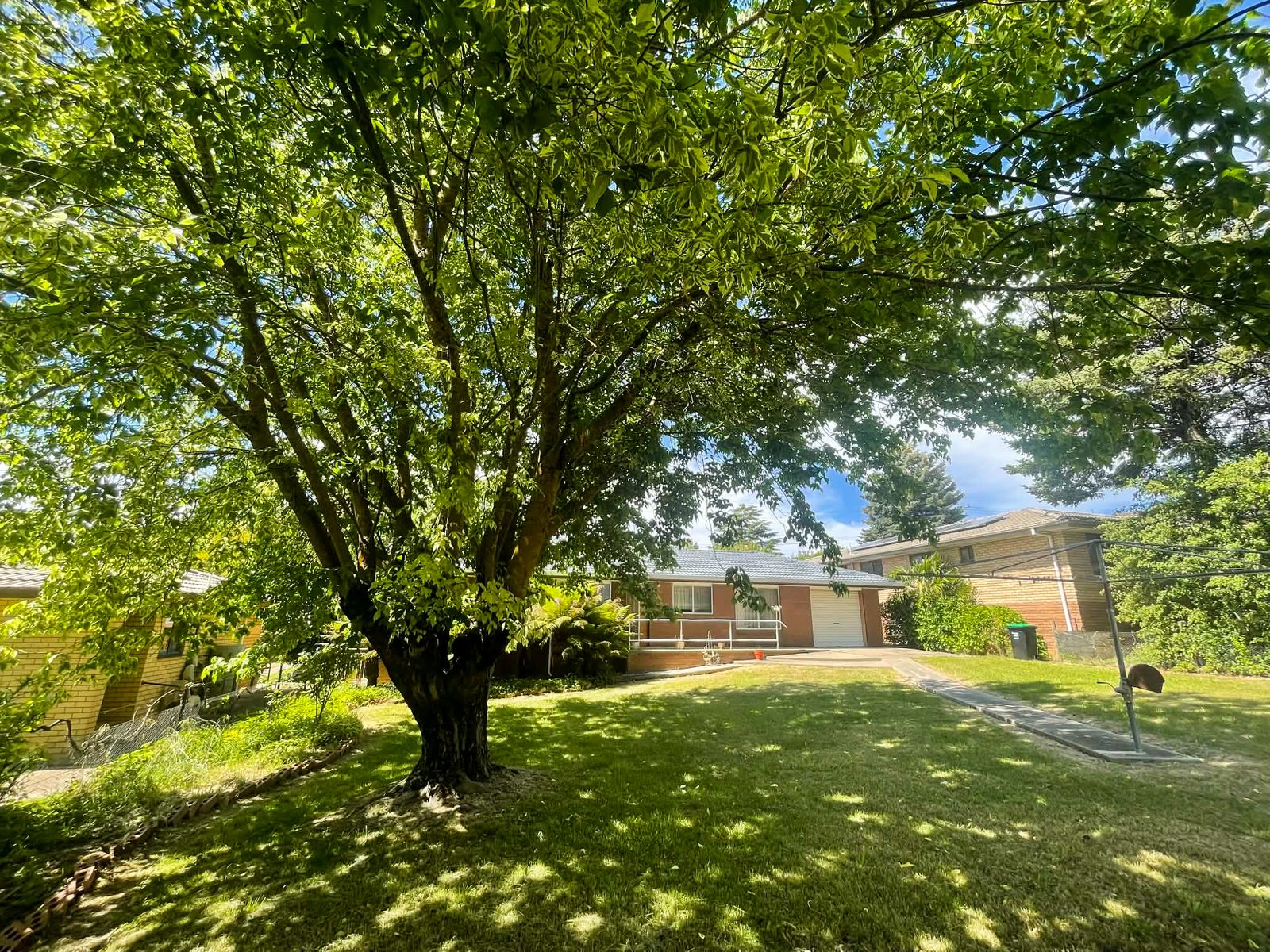 56 Clara Street TUMBARUMBA 19