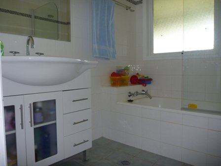 56 Elizabeth Avenue FOREST HILL 3