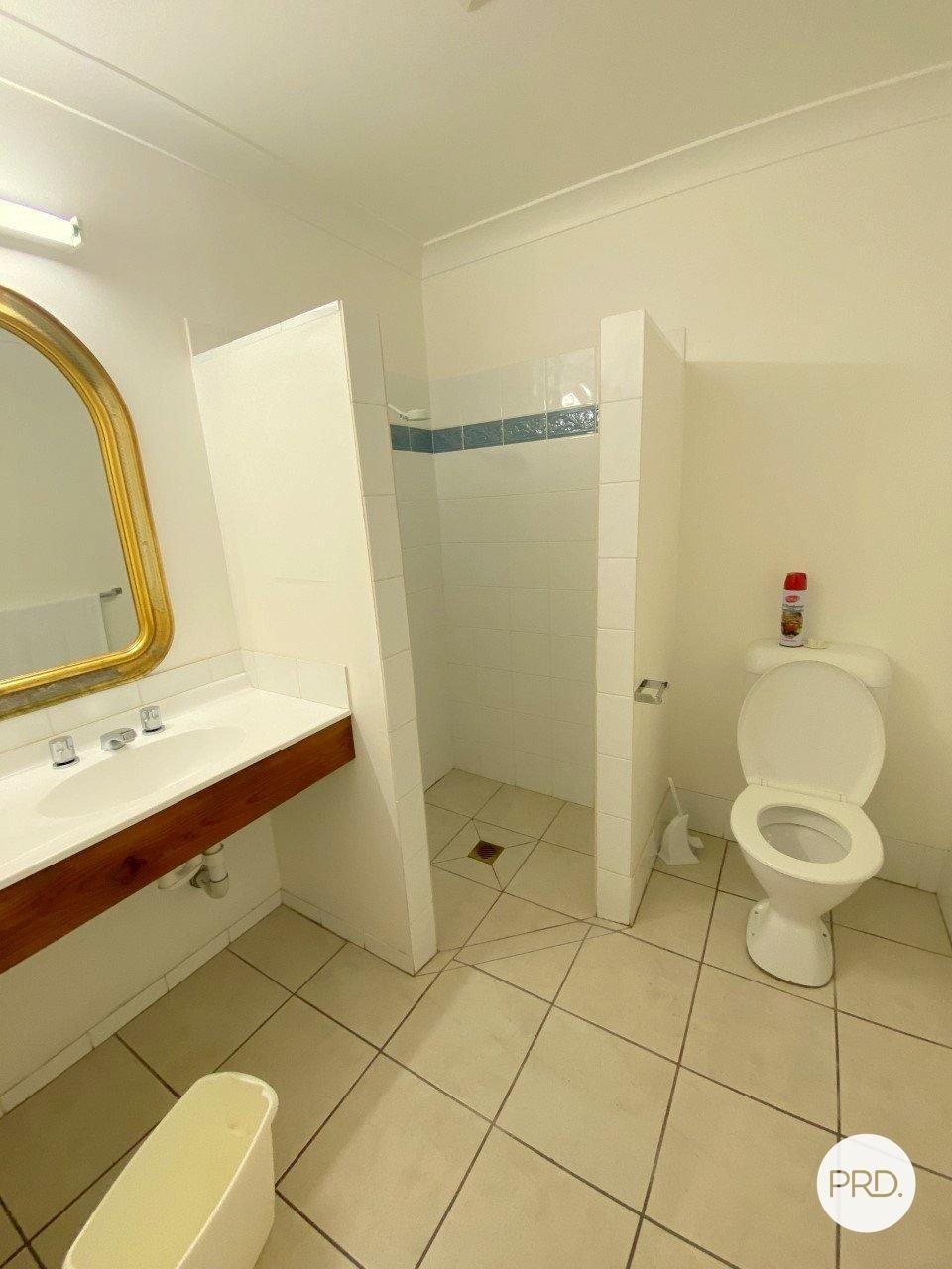 56 Gaskill Street "The Old Vic Inn"  CANOWINDRA 13