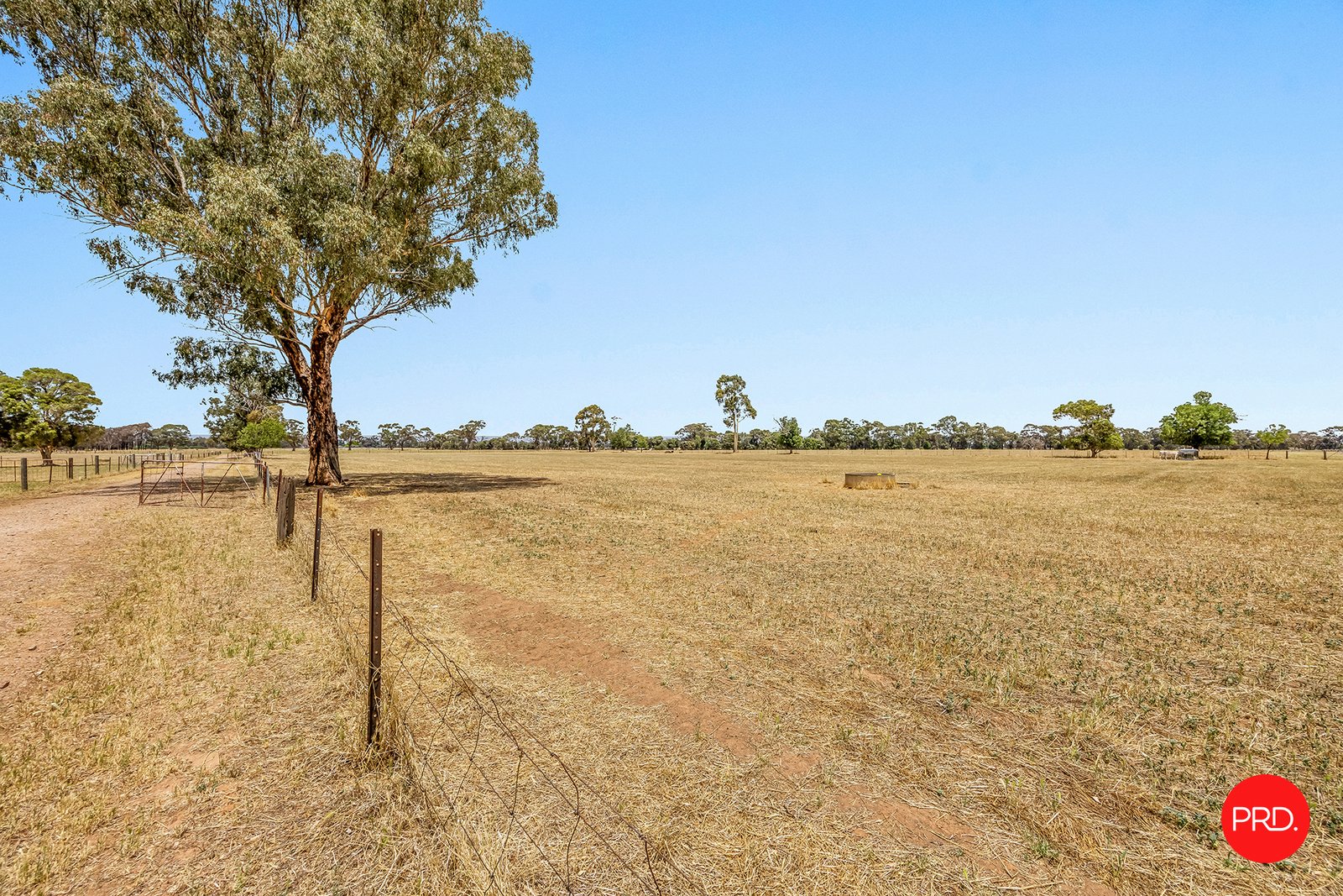 56 Kerlin Lane ROCHESTER 21