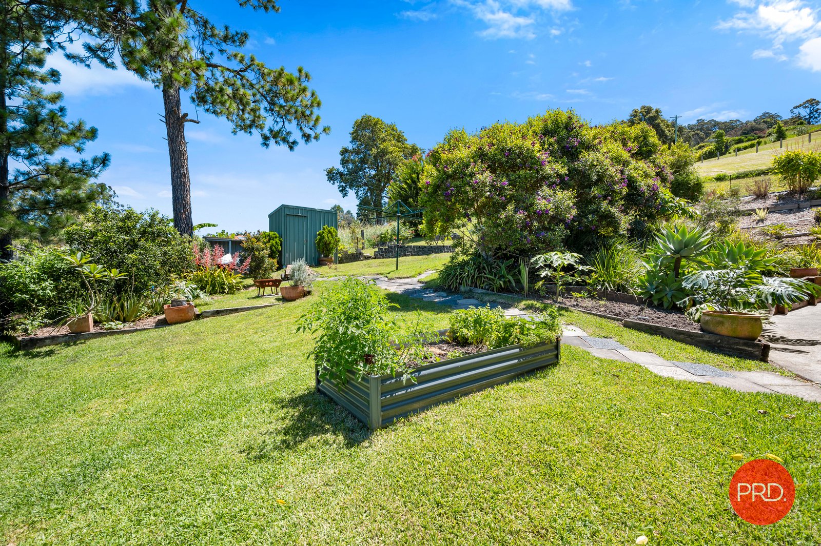 56 King Street COFFS HARBOUR 24