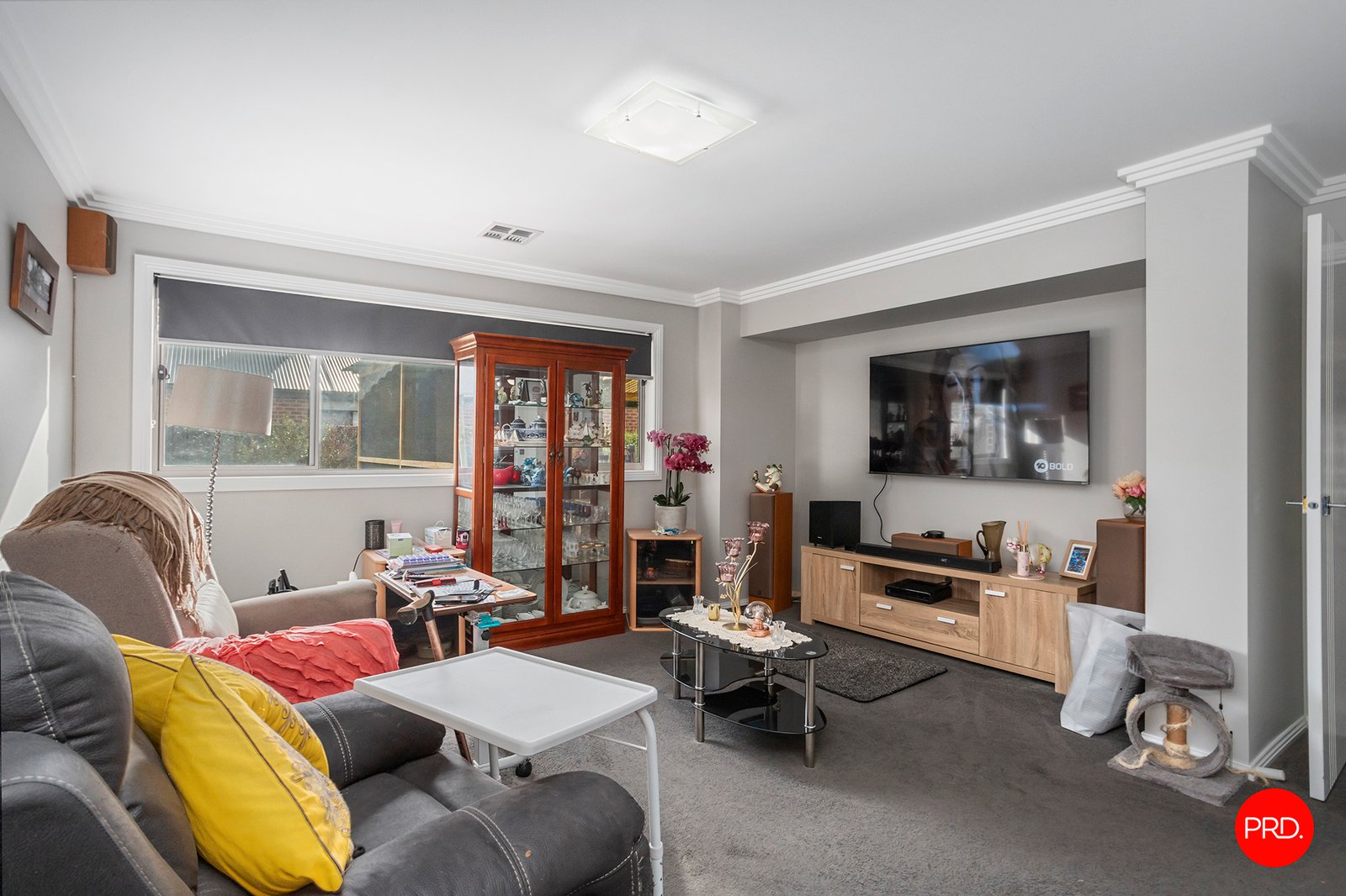 56 Lancaster Drive JACKASS FLAT 8