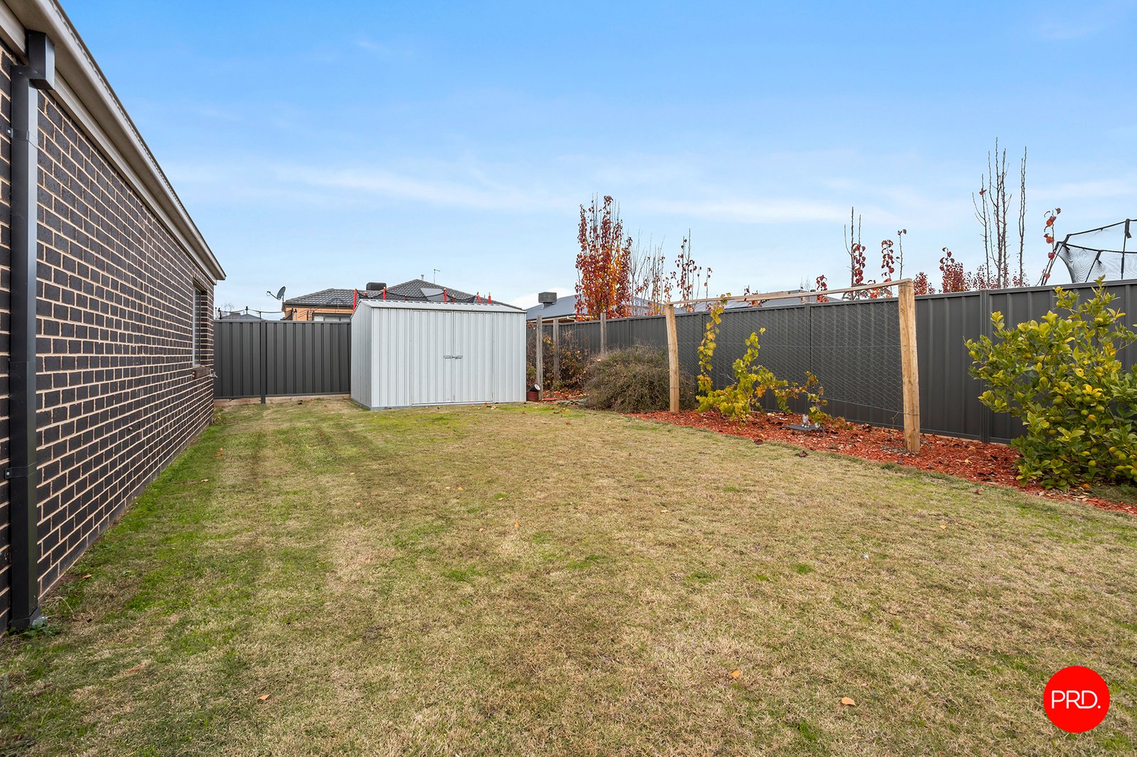 56 Lancaster Drive JACKASS FLAT 16