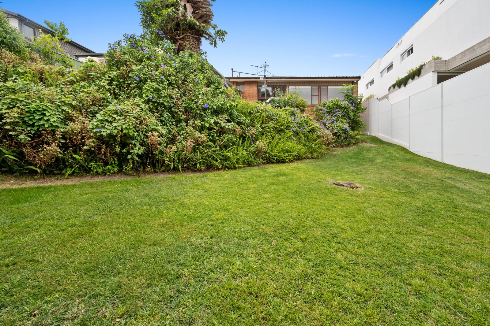 56 Lasseter Avenue CHIFLEY 7