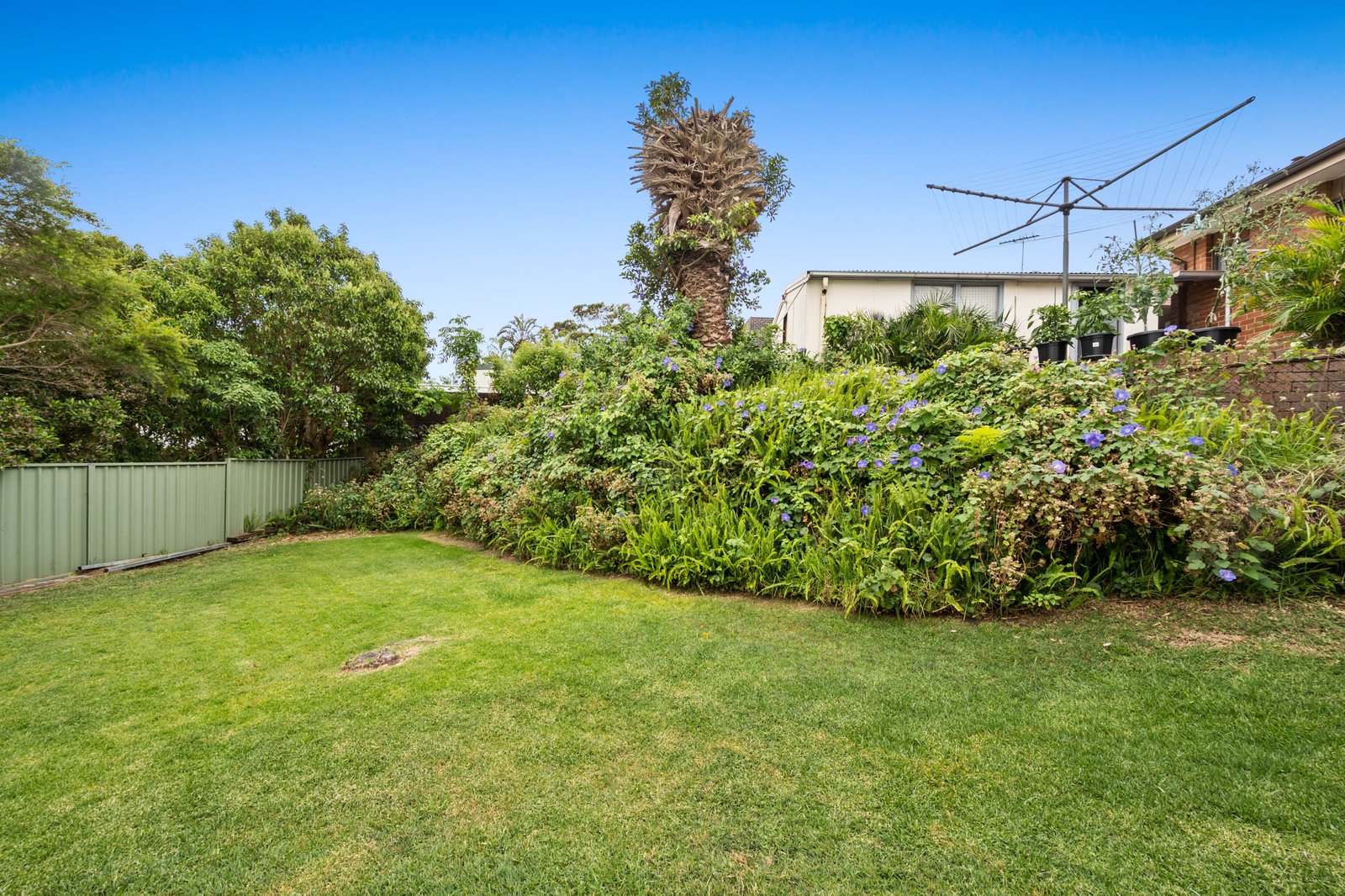 56 Lasseter Avenue CHIFLEY 8