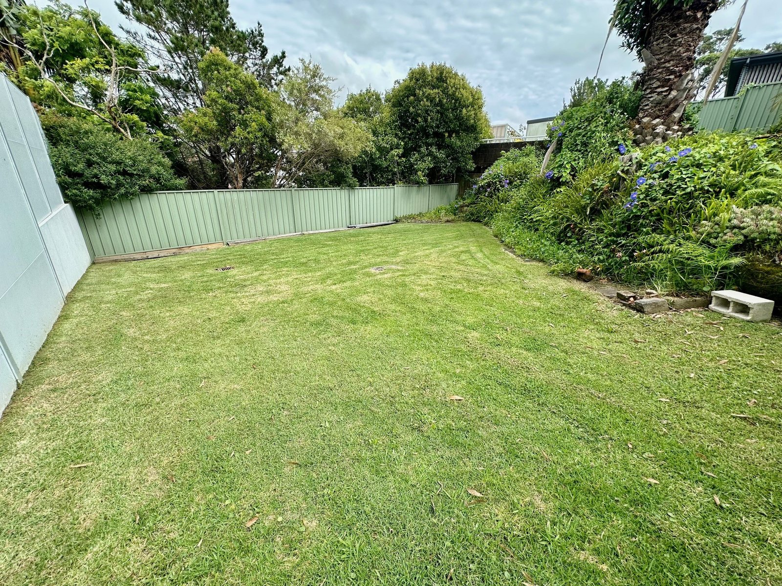 56 Lasseter Avenue CHIFLEY 10