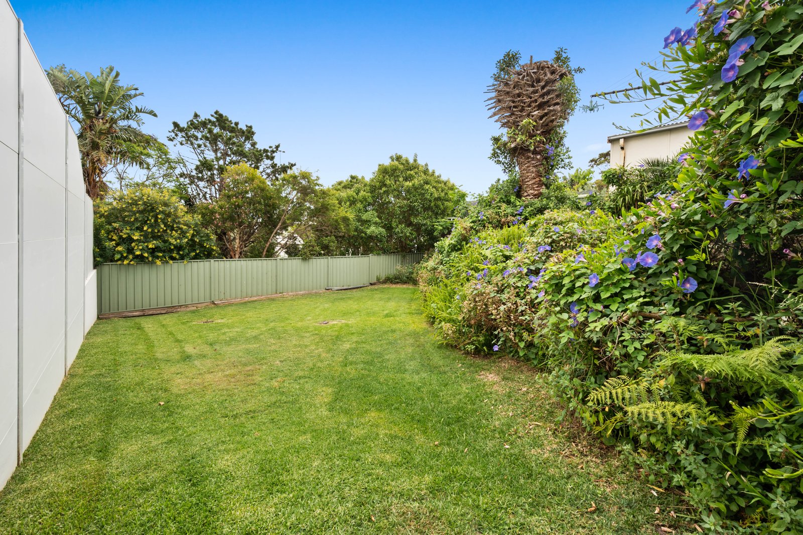 56 Lasseter Avenue CHIFLEY 11