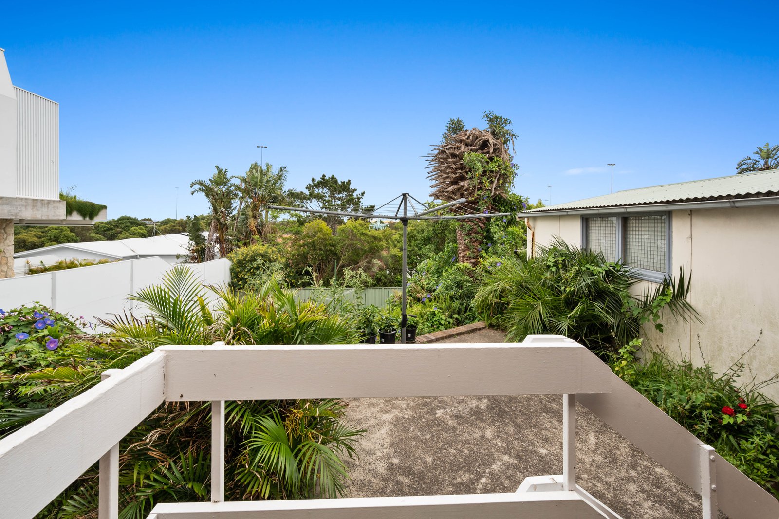 56 Lasseter Avenue CHIFLEY 7