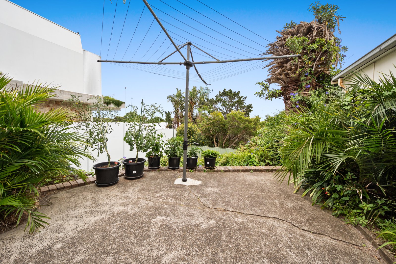 56 Lasseter Avenue CHIFLEY 8