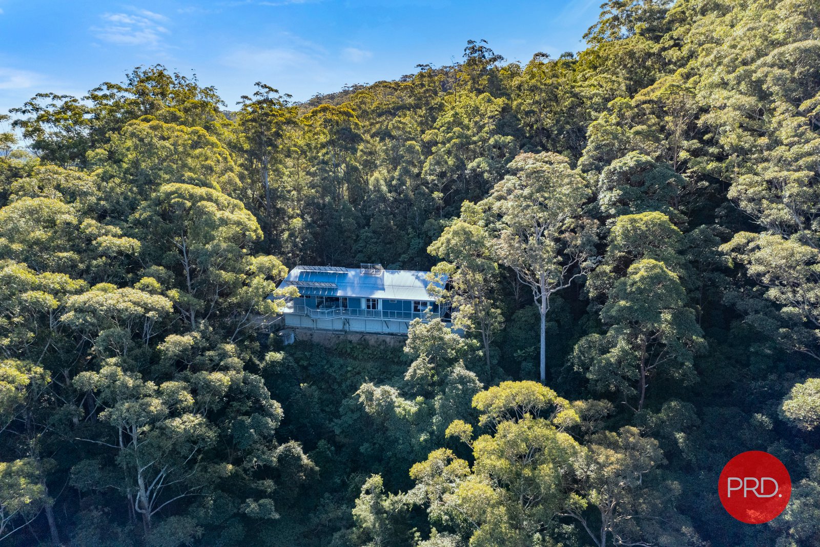 56 Lovetts Road KORORA 20