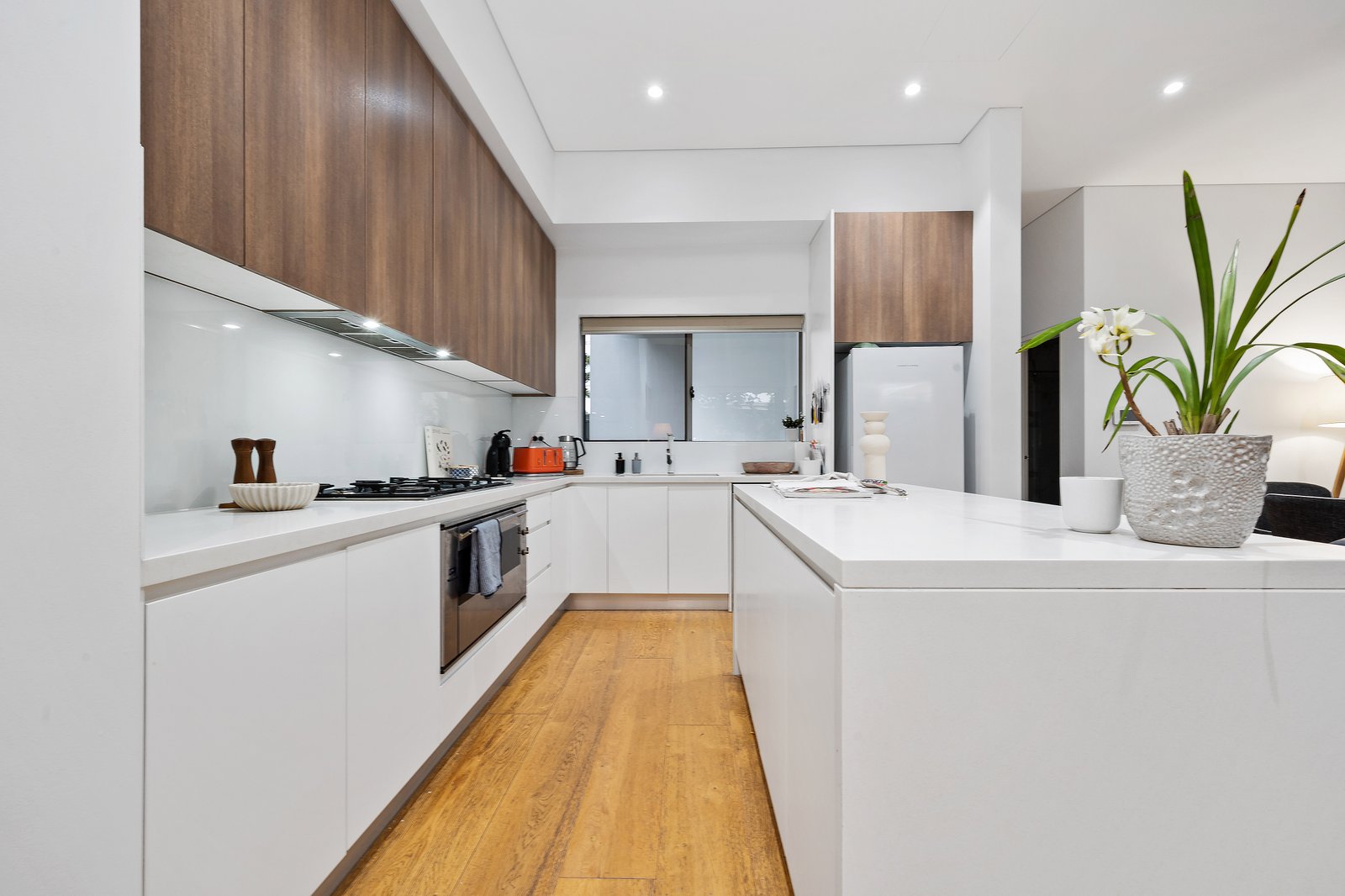56 Mawson Parade CHIFLEY 6