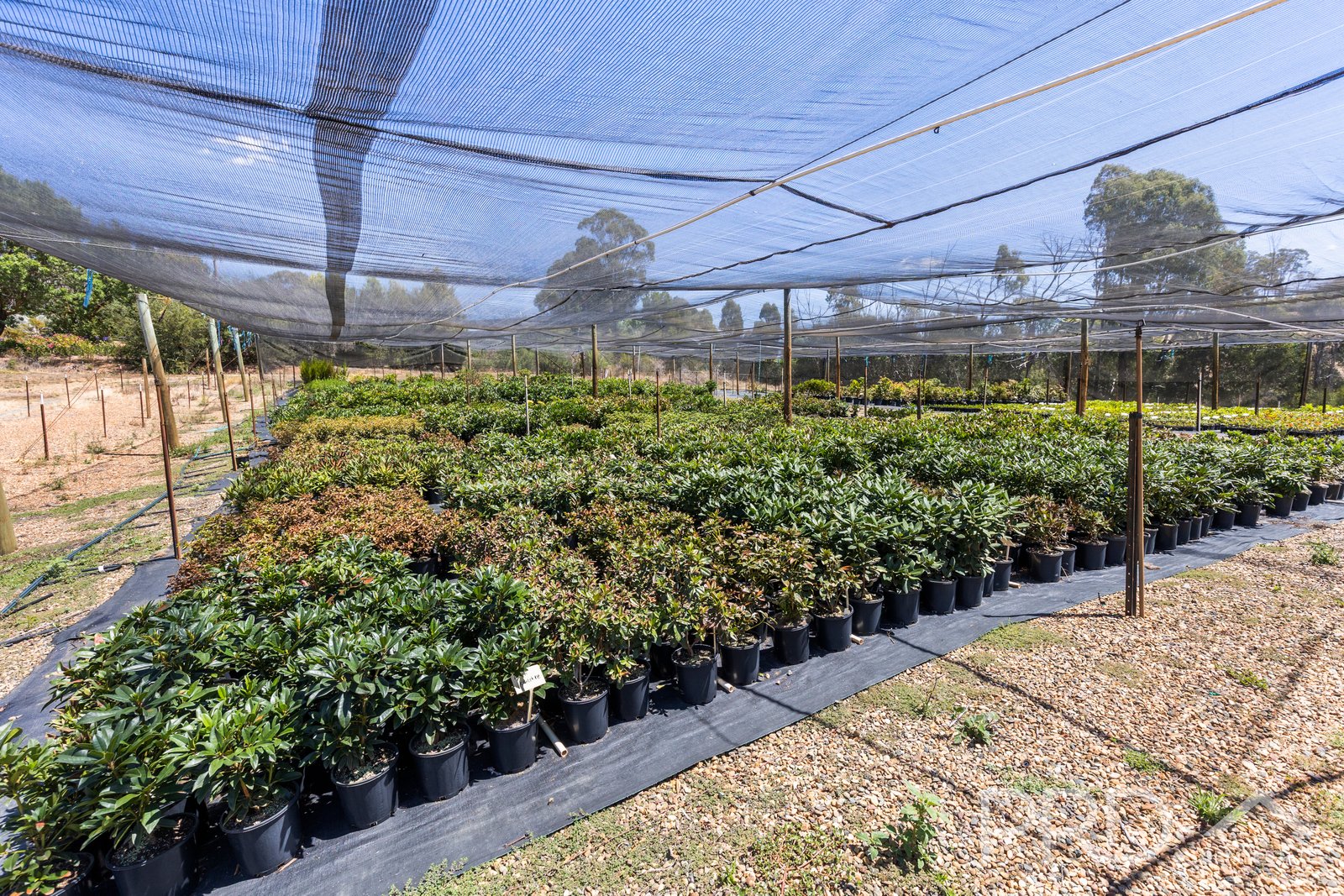 56 Mines Road BATLOW 26