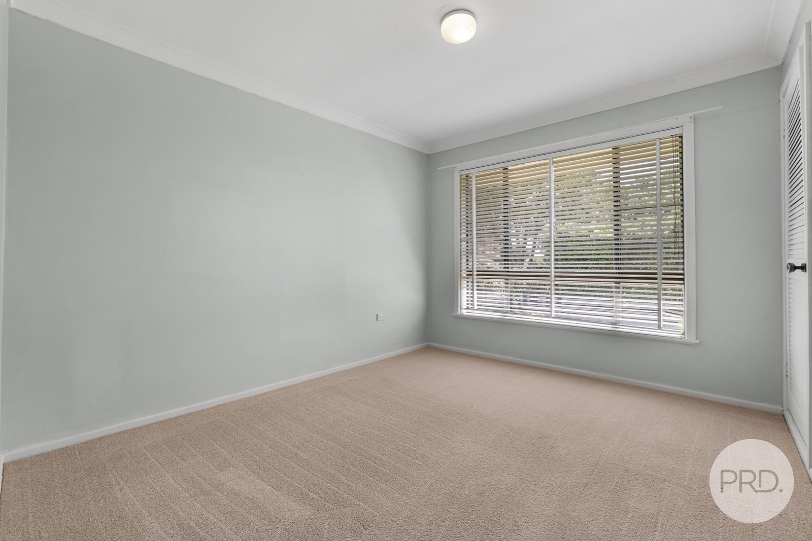 56 Nowland Avenue QUIRINDI 8