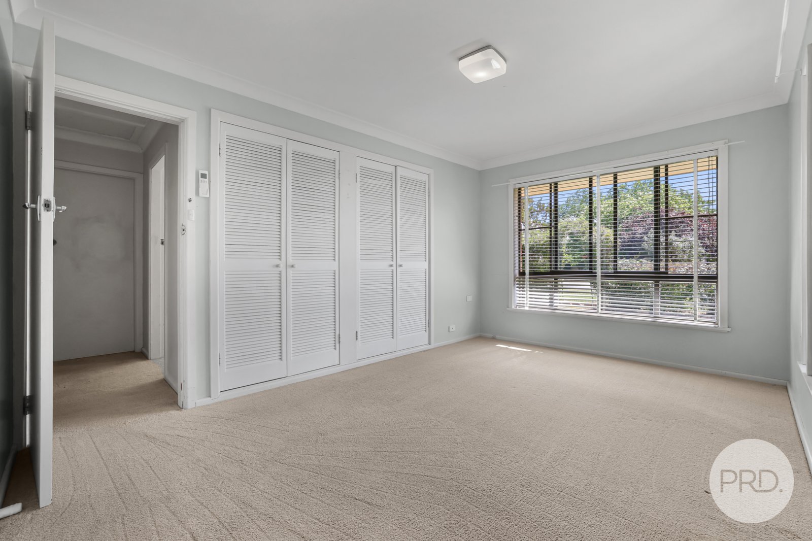 56 Nowland Avenue QUIRINDI 11