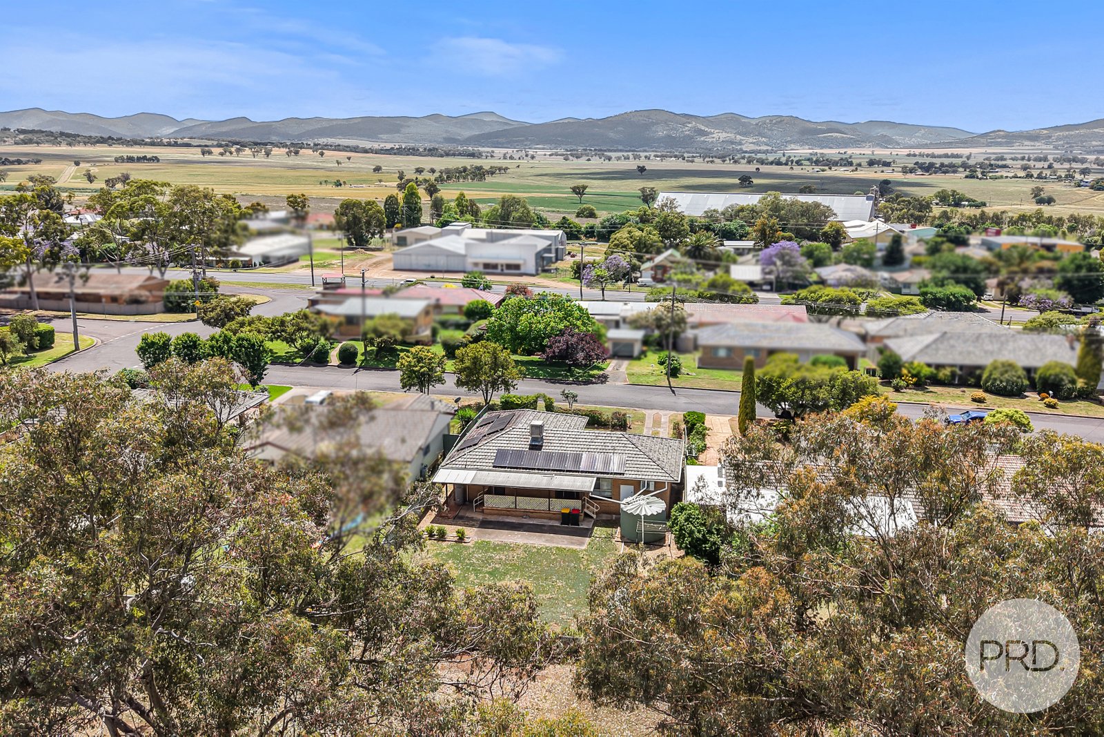 56 Nowland Avenue QUIRINDI 17