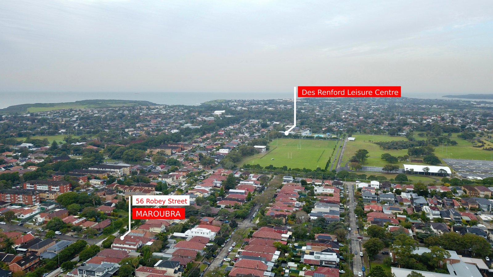 56 Robey Street MAROUBRA 19