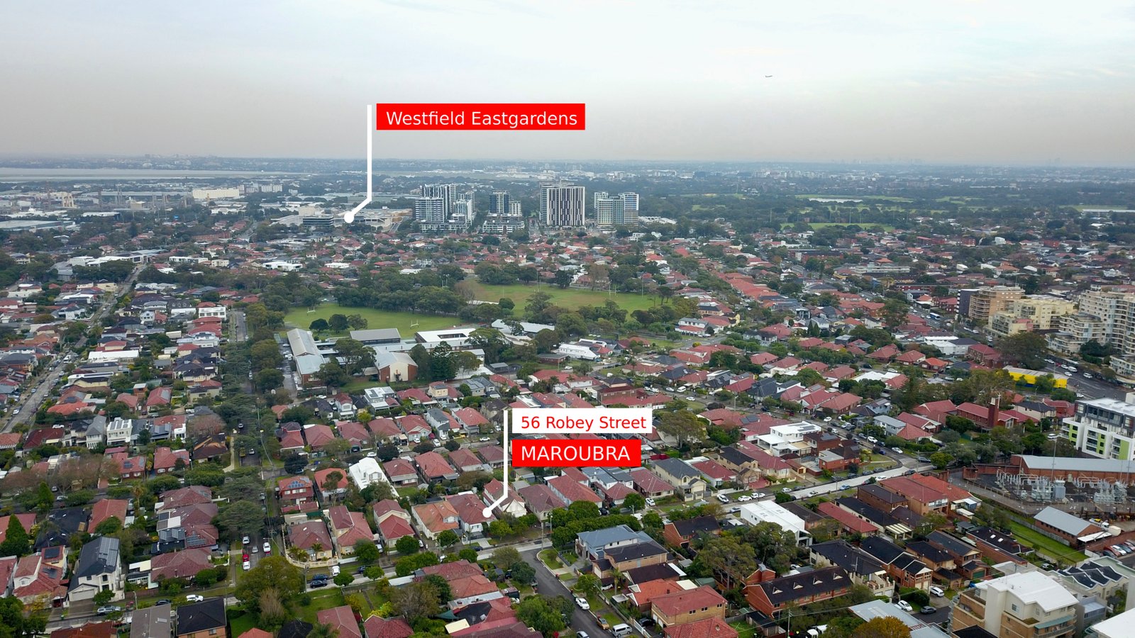 56 Robey Street MAROUBRA 21