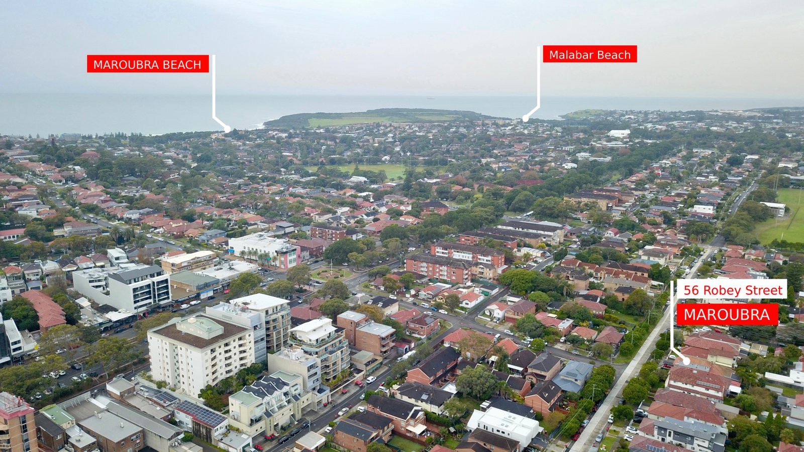56 Robey Street MAROUBRA 22