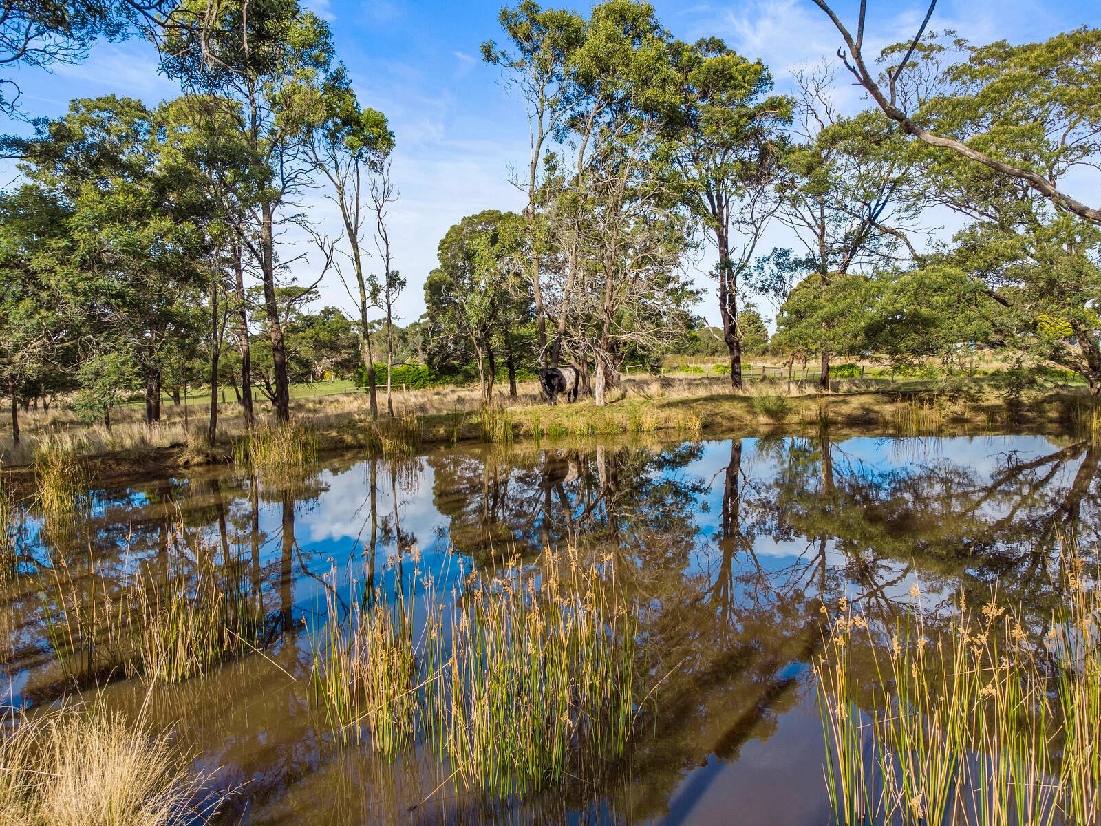 Real Estate and Property in 56 Short Road, Gisborne, VIC