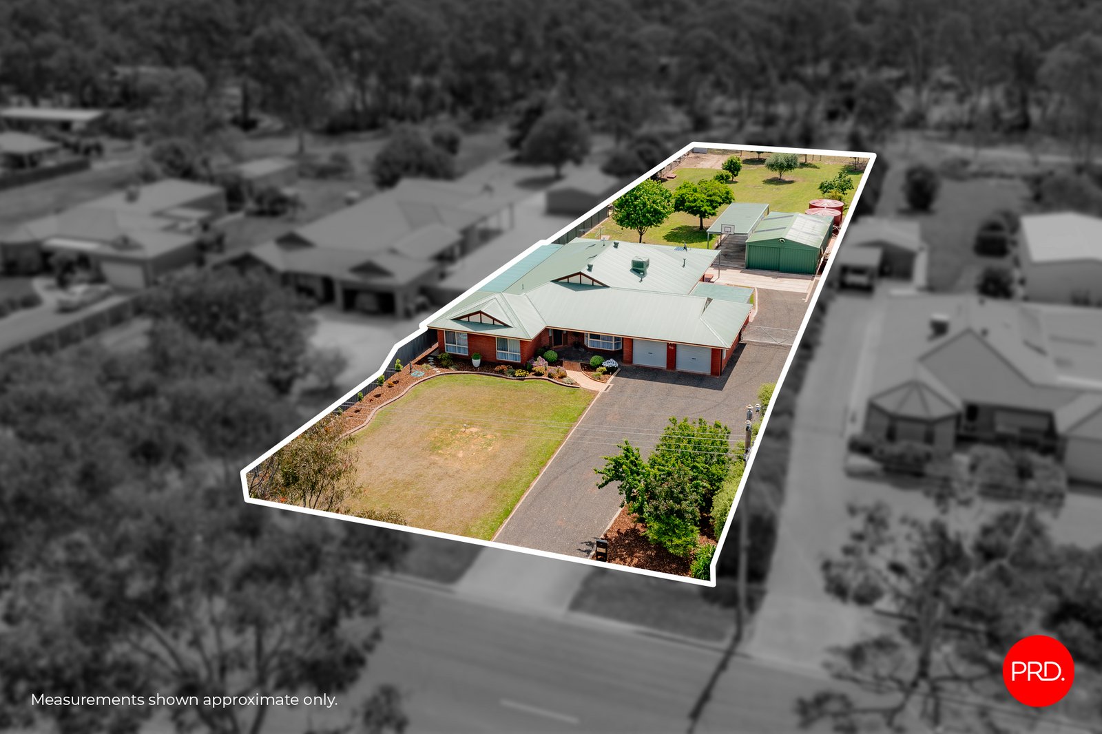 56 Strickland Street ASCOT 1