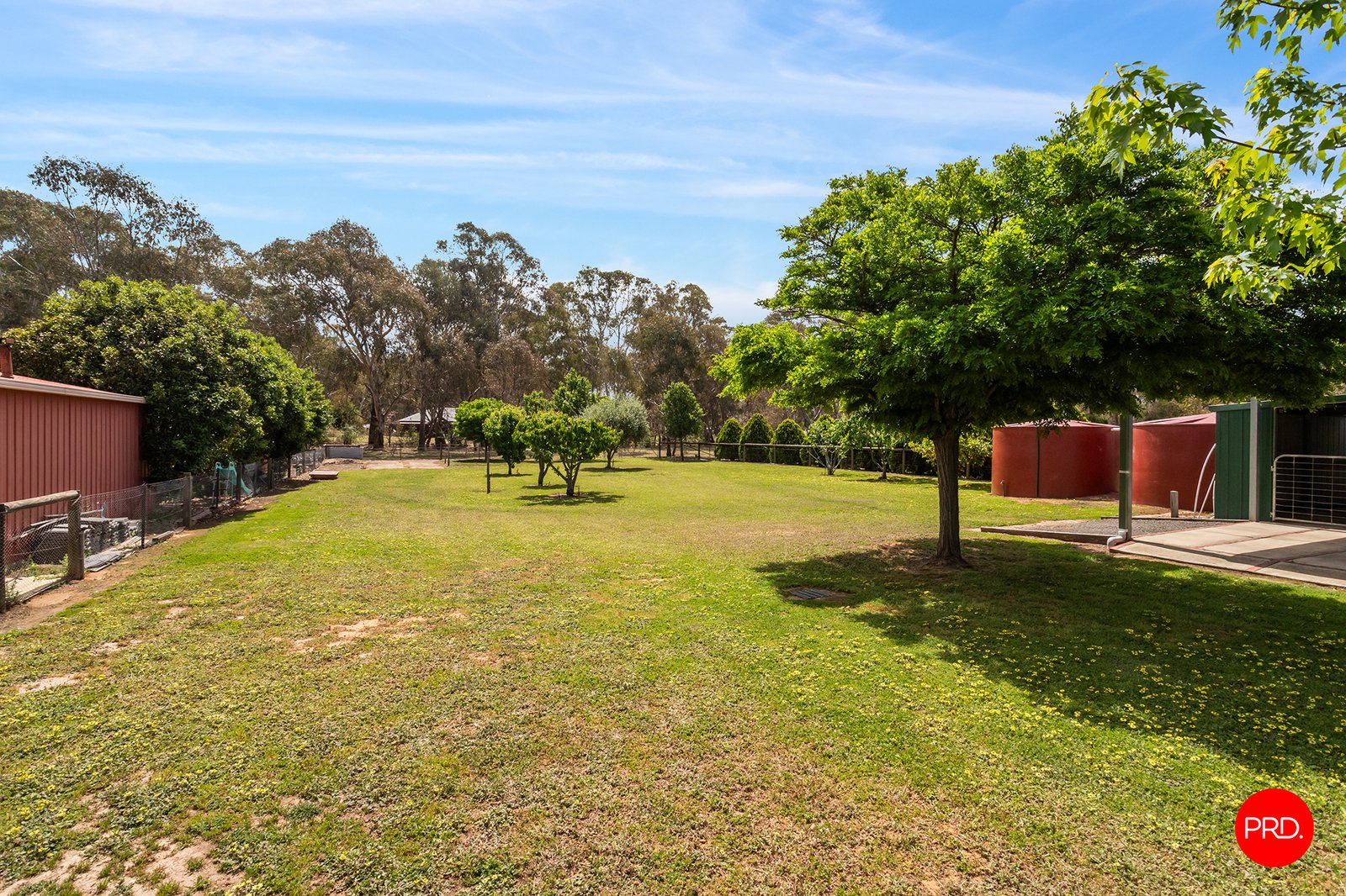 56 Strickland Street ASCOT 23