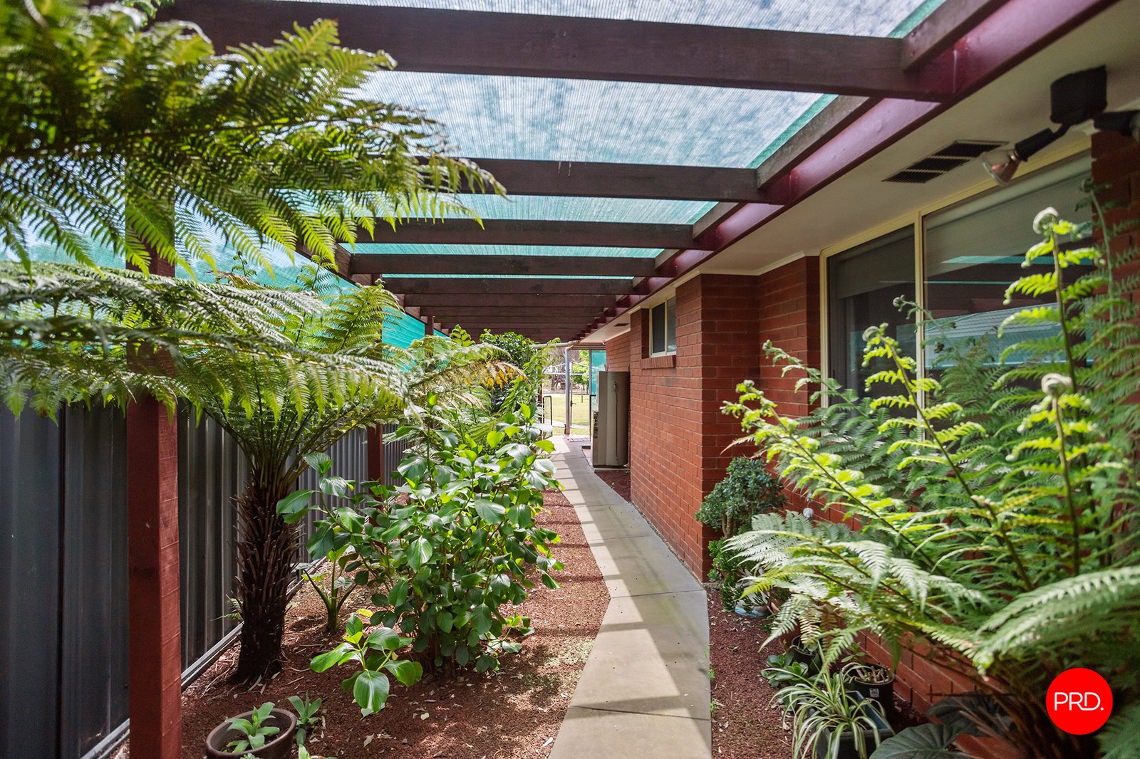 56 Strickland Street ASCOT 25