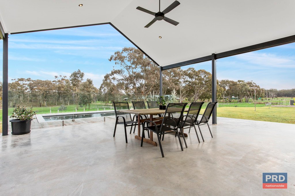 56 Wild Drive JUNORTOUN 16