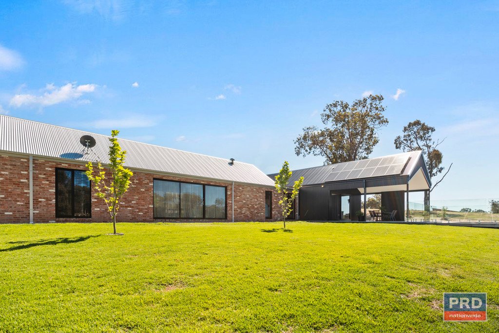 56 Wild Drive JUNORTOUN 22