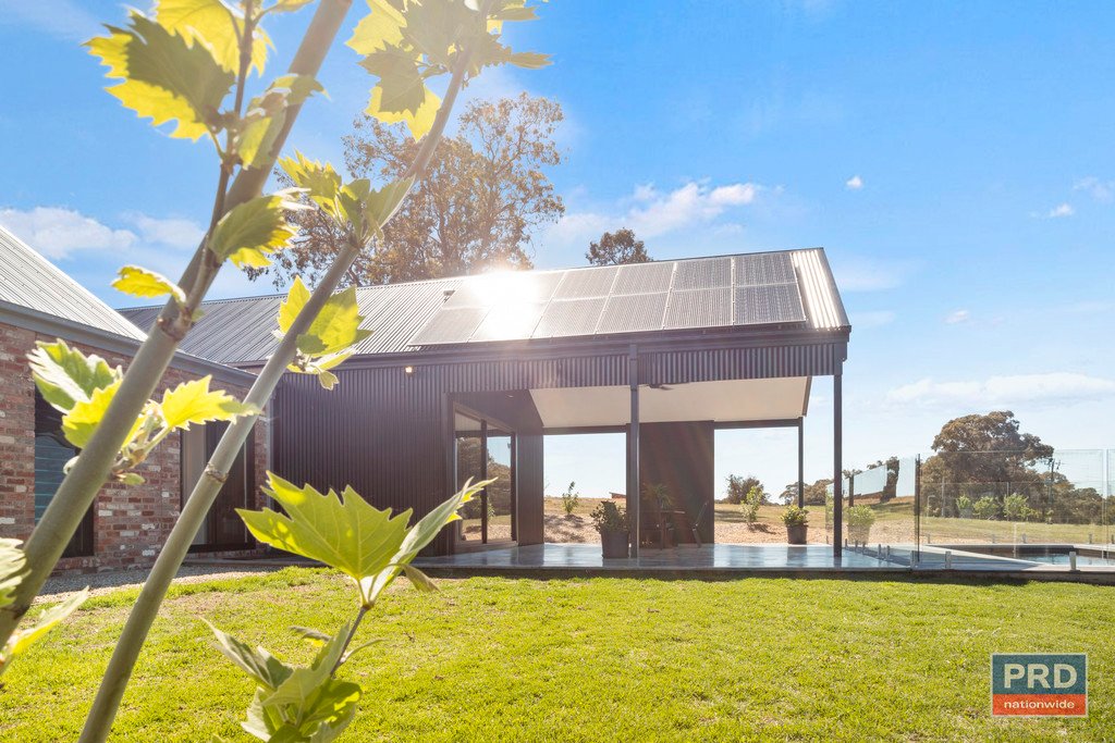 56 Wild Drive JUNORTOUN 23