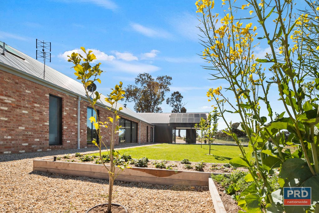 56 Wild Drive JUNORTOUN 24