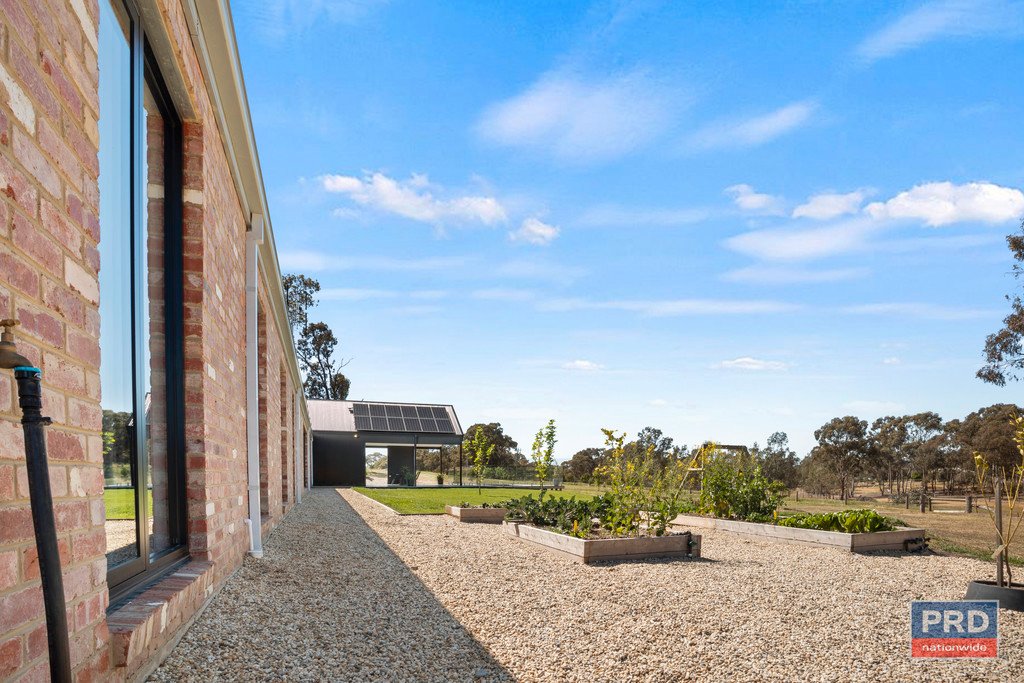 56 Wild Drive JUNORTOUN 25