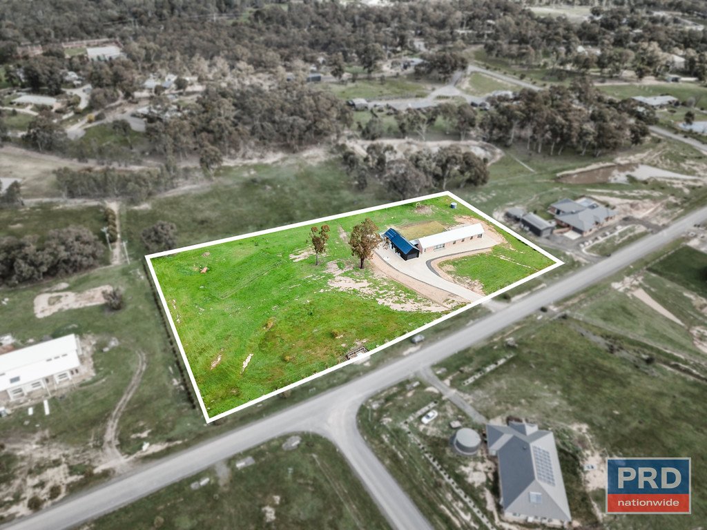 56 Wild Drive JUNORTOUN 26