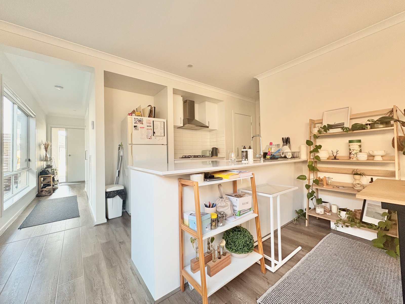 Gallery: 56 Woodland Street