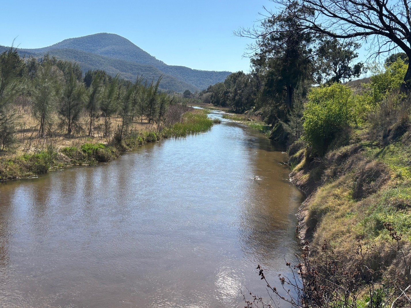 560 Mt Dangar Road BAERAMI 1